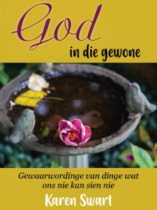 God In Die Gewone